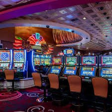 16pro Apa Yang Kami Bawa Dalam Live Roulette